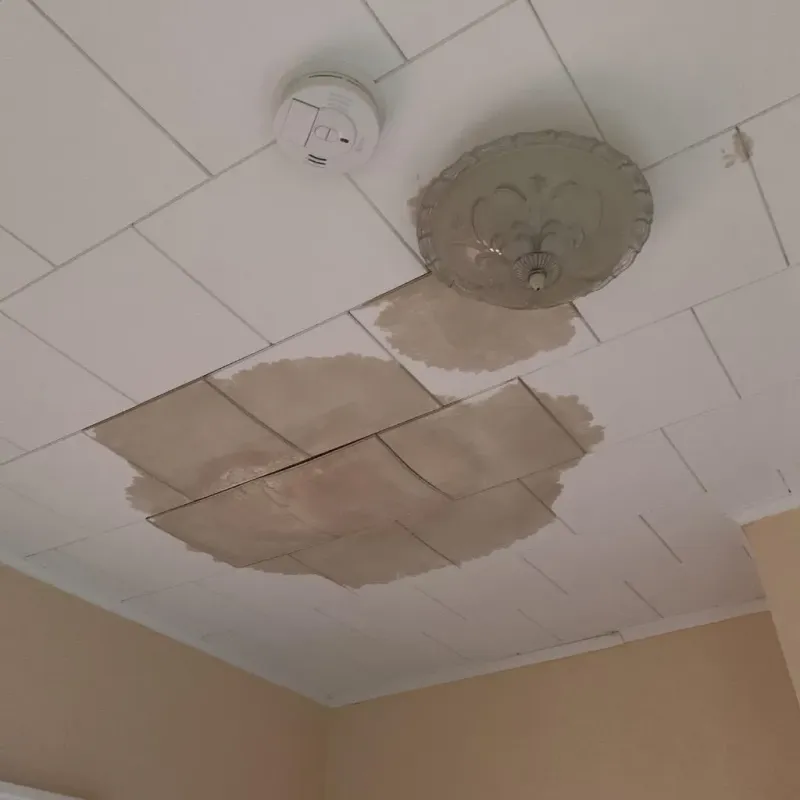 Ceiling Water Damage Repair in League City, TX