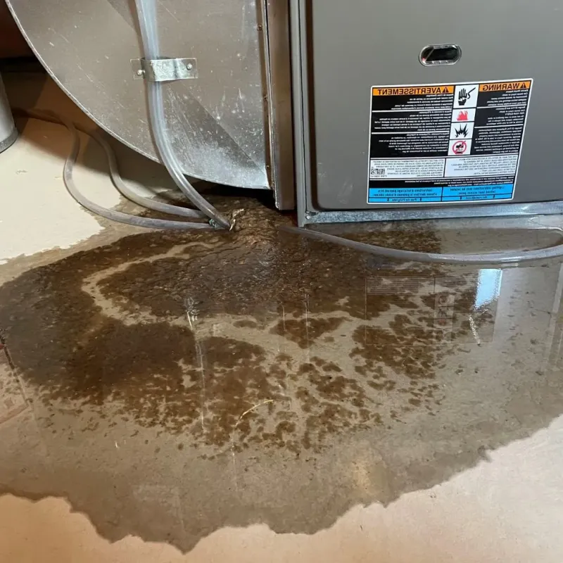 Pipe Burst and Leak Restoration in League City, TX