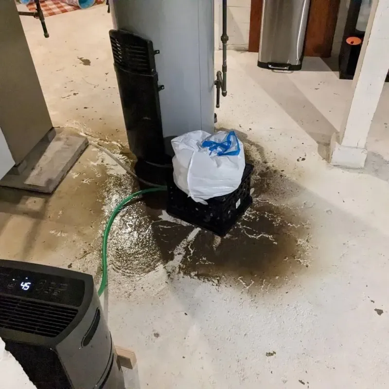 Sewage Backup Cleanup Service in League City, TX